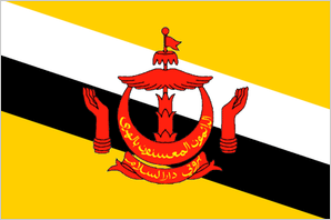 +673 (Brunei Darussalam)