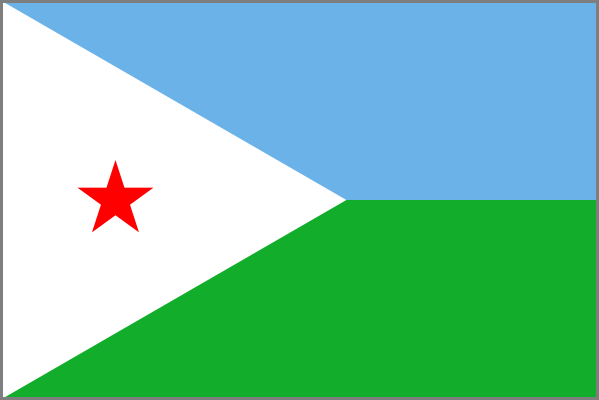 +253 (Djibouti)