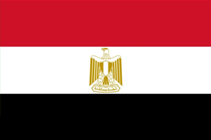 +20 (Egypt)