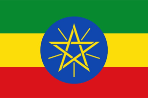 +251 (Ethiopia)