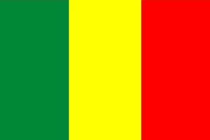 +223 (Mali)