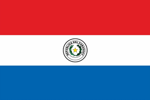 +595 (Paraguay)
