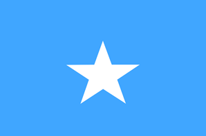 +252 (Somalia)