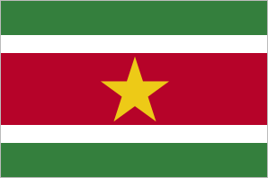 +597 (Suriname)