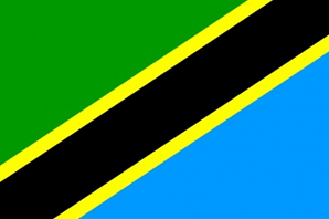 +255 (Tanzania)