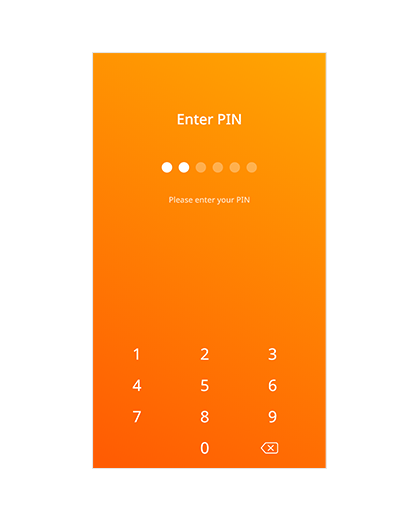 Pin number authentication